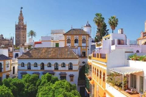 Viaje de fin de curso a Sevilla